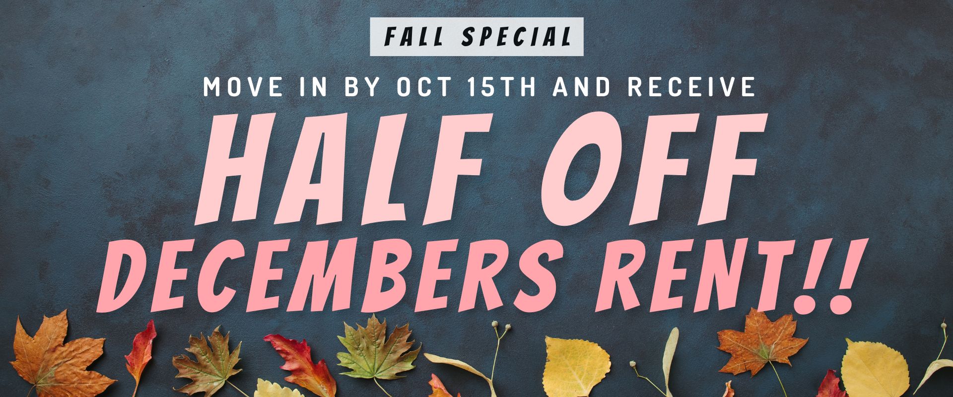 Fall Special Move in by Oct 15th and Receive Half off Decembers Rent!!